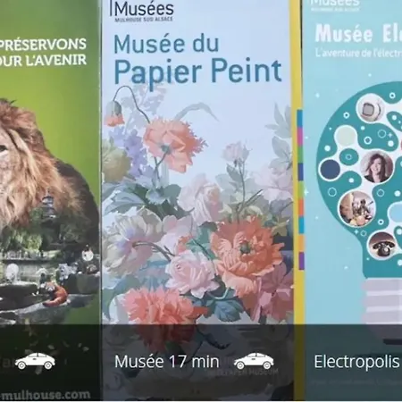 Rosa Maria Centre Mulhouse